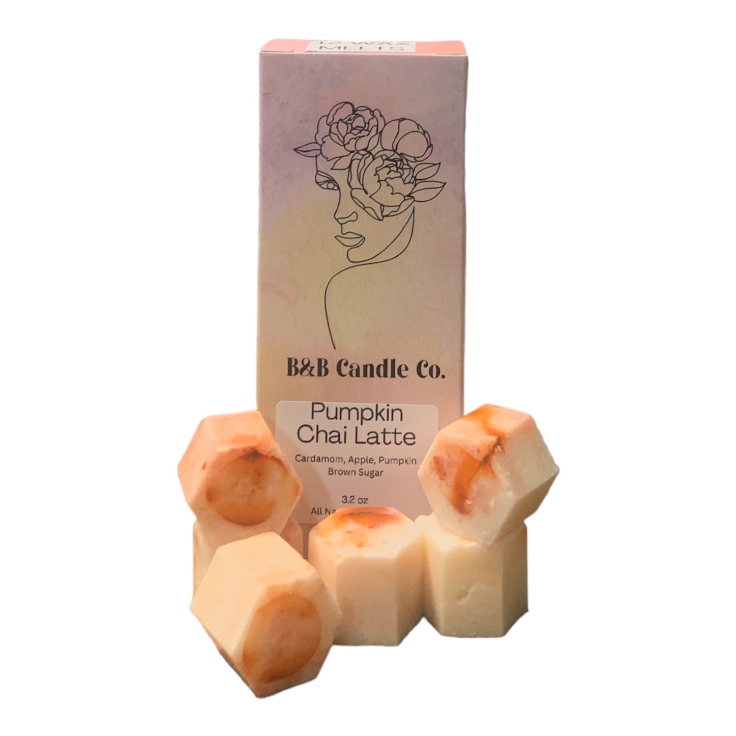 Wax Melt 3.2oz Pack Of 12